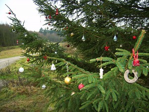 Der Tannenbaum - Weihnachtsmärchen